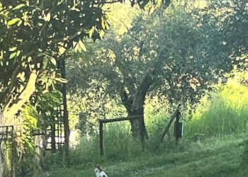 Foto 21 - Independent house via del castello
 
2, Sovicille - photo 21