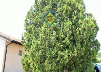 Foto 8 - Villa via Castelfranco Veneto
 
46, Pordenone - foto 8