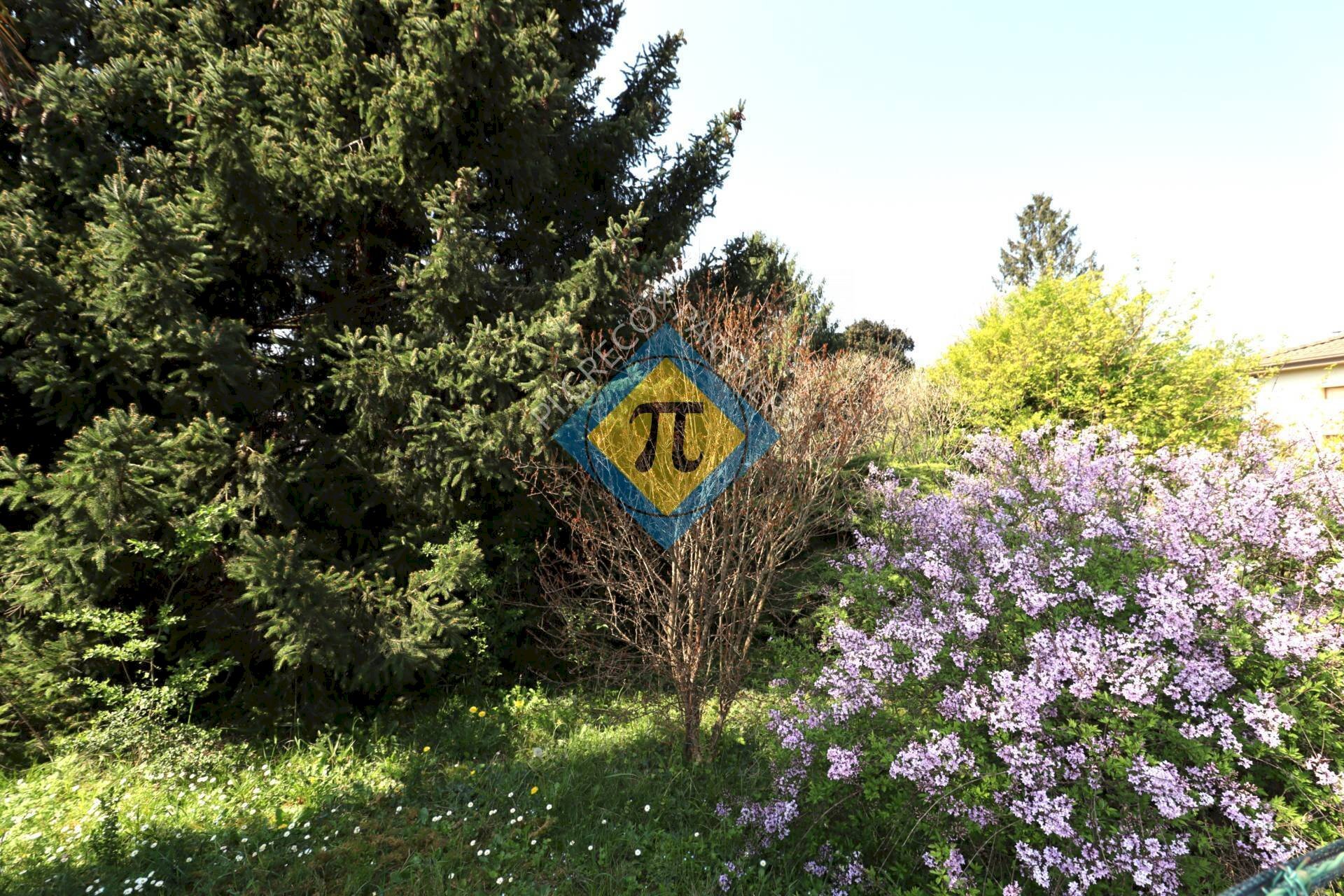 Foto 3 - Terreno edificabile via Bellasio
10, Cordenons - foto 3