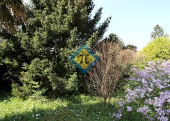 Foto 2 - Terreno edificabile via Bellasio
 
10, Cordenons - foto 2