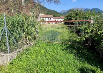 Giardino - Terreno edificabile Alano di Piave - foto 7