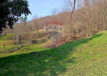 Vista delle montagne - Rustico Via Col Muson
 
3, Castelcucco - foto 3