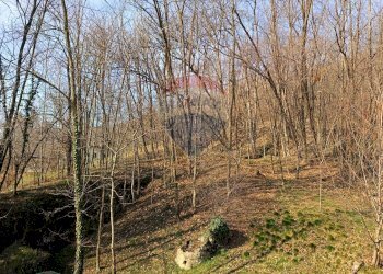 Giardino - Rustico Via Col Muson
 
3, Castelcucco - foto 26