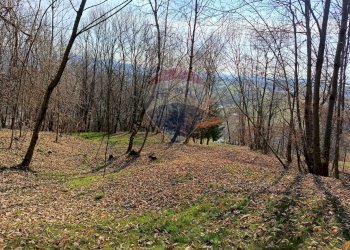 Giardino - Rustico Via Col Muson
 
3, Castelcucco - foto 28