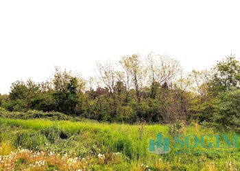 Foto 6 - Terreno edificabile Via Ugo Foscolo, Carate Brianza - foto 6