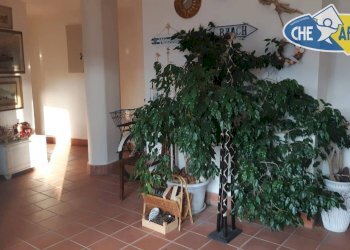 Foto 11 - Appartamento via bondano, Massa - foto 11