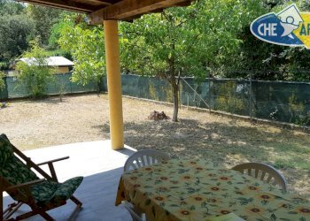 Foto 11 - Casa semi indipendente via verdi, Massa - foto 11