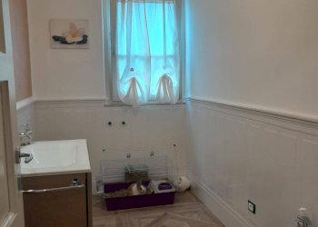 Foto 18 - Semi-detached house Via Matteucci, Camaiore - photo 18