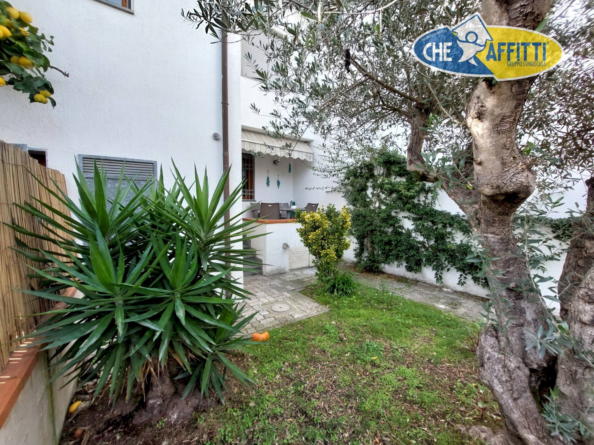 esterno - Villa a Schiera via lombardi, Pietrasanta - foto 2