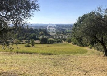 Foto 9 - Villa Via Covignano
 
273, Rimini - foto 9