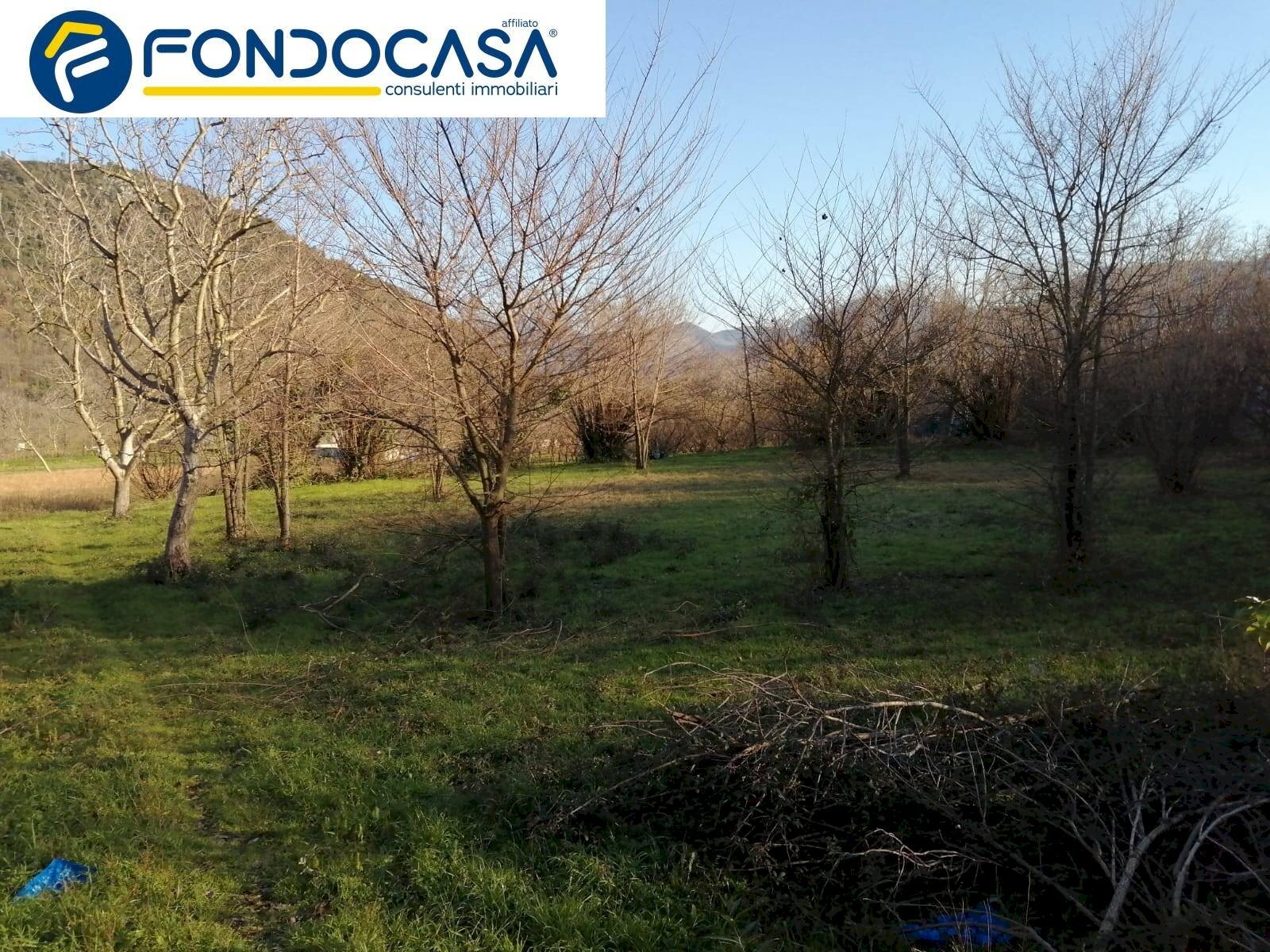 Foto 1 - Terreno agricolo via lavinaio, Mercato San Severino - foto 1