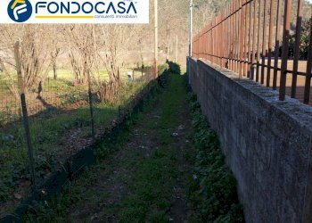 Foto 6 - Terreno agricolo via lavinaio, Mercato San Severino - foto 6