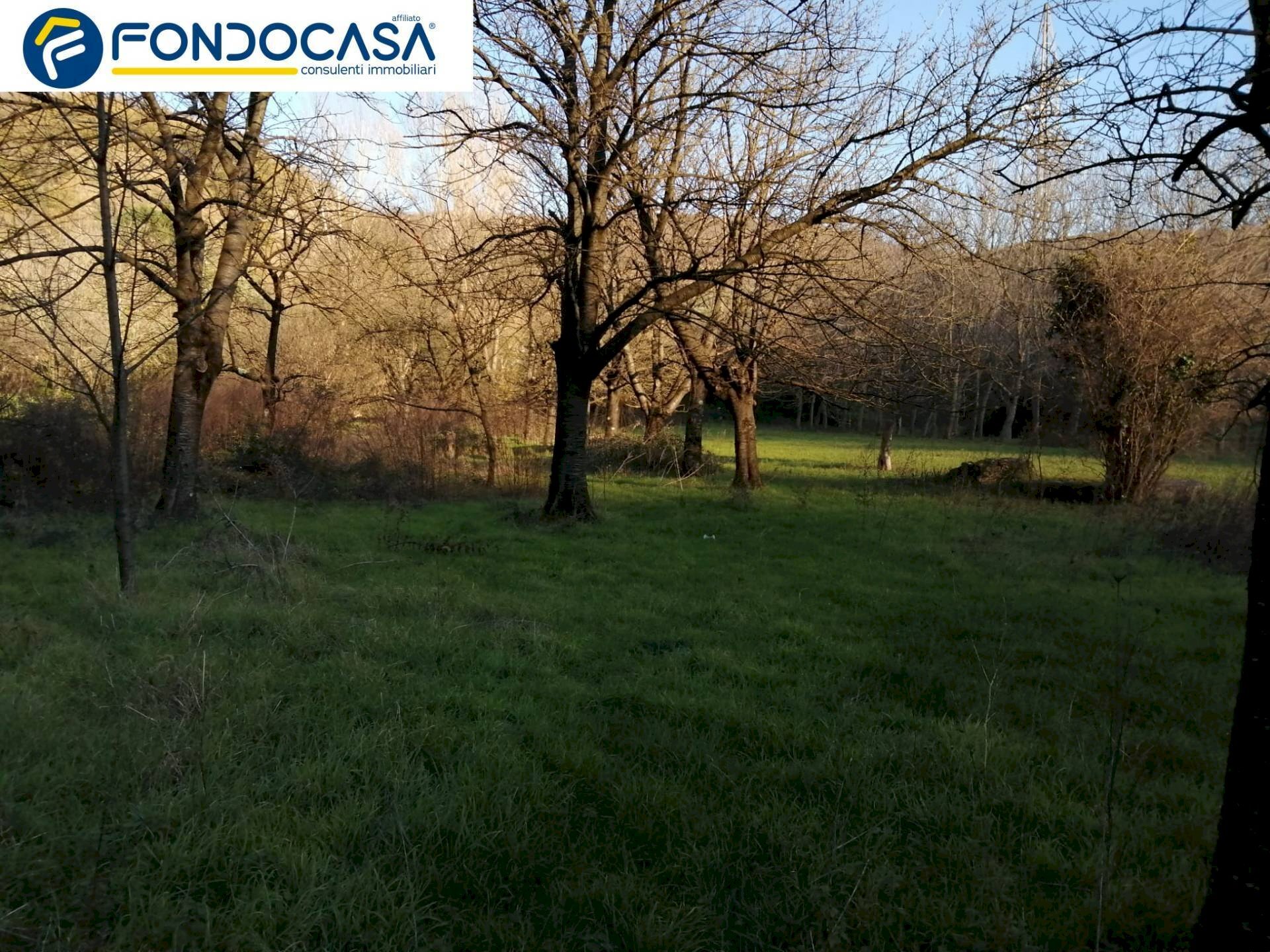 Foto 3 - Terreno agricolo VIA CIORANI
 
12, Mercato San Severino - foto 3