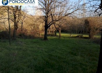 Foto 3 - Terreno agricolo VIA CIORANI
12, Mercato San Severino - foto 3