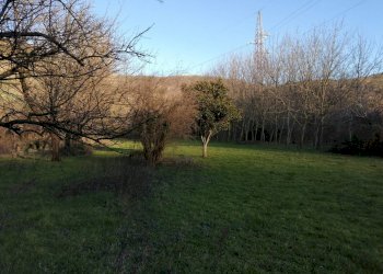 Foto 5 - Terreno agricolo VIA CIORANI
12, Mercato San Severino - foto 5