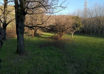 Foto 6 - Terreno agricolo VIA CIORANI
12, Mercato San Severino - foto 6