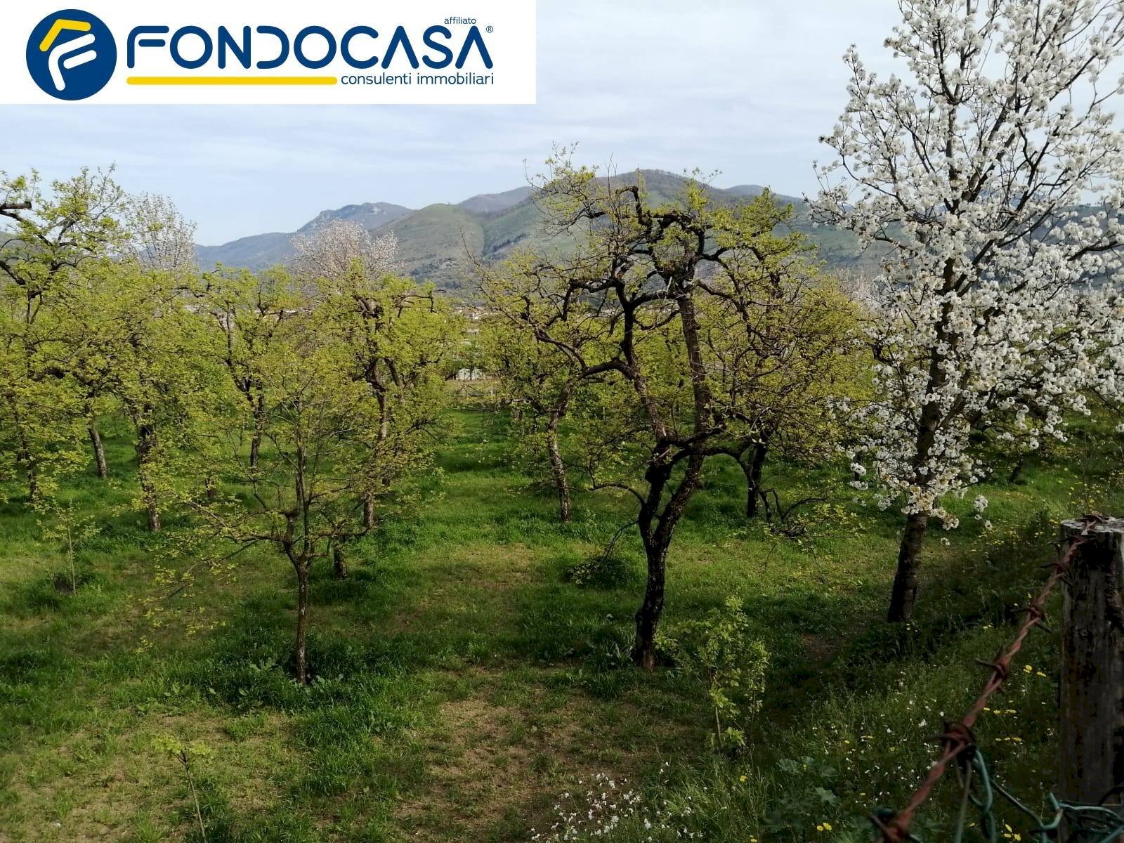 Foto 3 - Terreno agricolo via san nicola, Roccapiemonte - foto 3