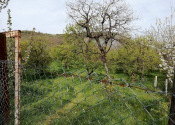 Foto 1 - Terreno agricolo via san nicola, Roccapiemonte - foto 1