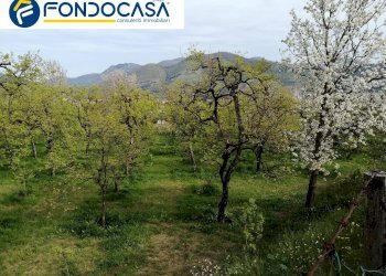 Foto 3 - Terreno agricolo via san nicola, Roccapiemonte - foto 3