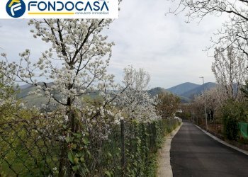 Foto 4 - Terreno agricolo via san nicola, Roccapiemonte - foto 4