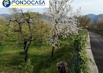 Foto 6 - Terreno agricolo via san nicola, Roccapiemonte - foto 6