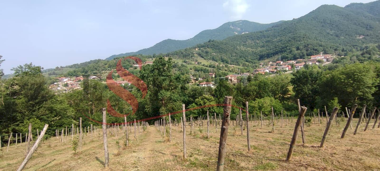 Foto 3 - Terreno edificabile Cenate Sopra - foto 3