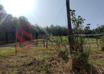 Foto 9 - Terreno edificabile Cenate Sopra - foto 9