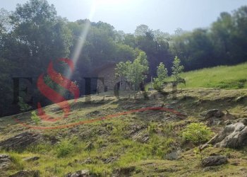 Foto 10 - Terreno edificabile Cenate Sopra - foto 10