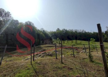 Foto 11 - Terreno edificabile Cenate Sopra - foto 11