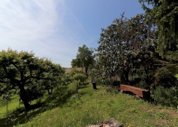 Foto 11 - Rustico Strada Nosserio
 
25, Costigliole d'Asti - foto 11