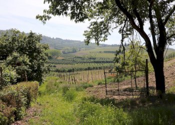 Foto 17 - Rustico Strada Nosserio
 
25, Costigliole d'Asti - foto 17