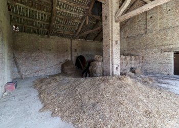 Foto 21 - Rustico Strada Nosserio
 
25, Costigliole d'Asti - foto 21