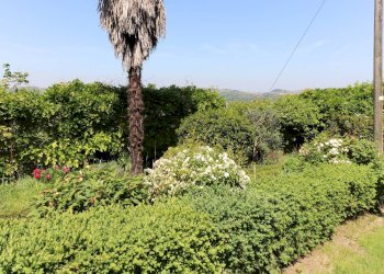 Foto 29 - Rustico Strada Nosserio
 
25, Costigliole d'Asti - foto 29