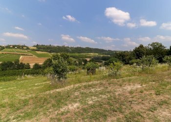 Foto 31 - Rustico Strada Nosserio
 
25, Costigliole d'Asti - foto 31