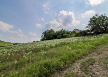 Foto 33 - Rustico Strada Nosserio
 
25, Costigliole d'Asti - foto 33