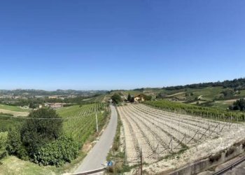 Foto 41 - Rustico Strada Nosserio
 
25, Costigliole d'Asti - foto 41