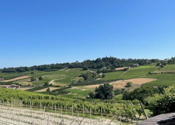 Foto 42 - Rustico Strada Nosserio
 
25, Costigliole d'Asti - foto 42