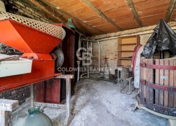 Foto 22 - Rustico Fraz. Gatti
 
10, Rocchetta Tanaro - foto 22