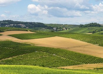 le vicinanze - Rustico Via Cavour
 
9, Cortiglione - foto 28