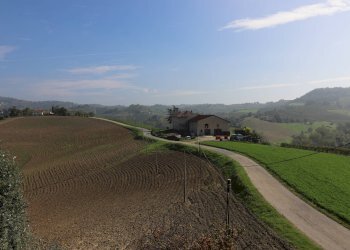 Foto 29 - Villa Località riviera, Monforte d'Alba - foto 27