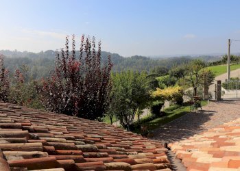 Foto 30 - Villa Località riviera, Monforte d'Alba - foto 28