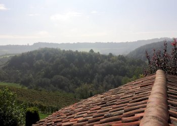 Foto 31 - Villa Località riviera, Monforte d'Alba - foto 29