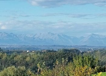 Foto 35 - Villa Località riviera, Monforte d'Alba - foto 33