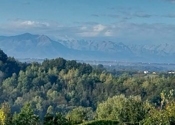 Foto 36 - Villa Località riviera, Monforte d'Alba - foto 34