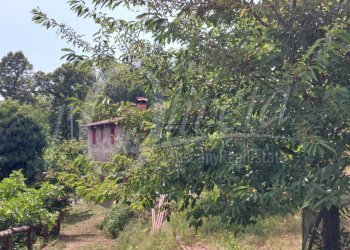 Foto 10 - Rustico Cocolaio
 
1/A, Bagni di Lucca - foto 10