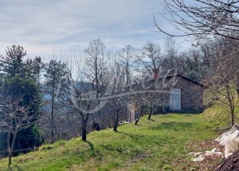 Foto 34 - Rustico Cocolaio
 
1/A, Bagni di Lucca - foto 32