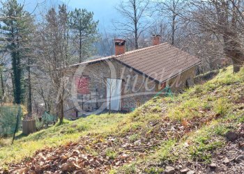 Foto 36 - Rustico Cocolaio
 
1/A, Bagni di Lucca - foto 34