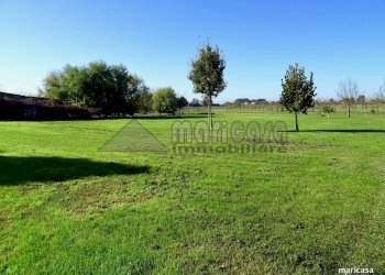 Foto 32 - Rustico Via Rocca, Ferrara - foto 30