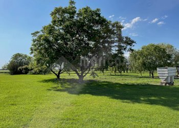 Foto 37 - Rustico Via Rocca, Ferrara - foto 35