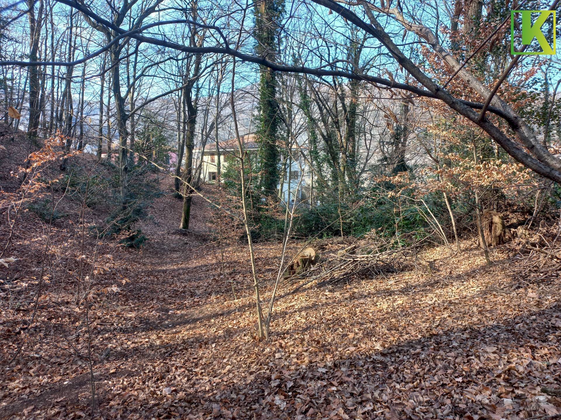 Foto 2 - Terreno edificabile Via Case di Sopra
 
snc, Valganna - foto 2